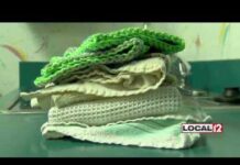 Report shows towels have bacteria that can make you sick