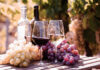 Two glasses of wine beside fresh grapes in a vineyard