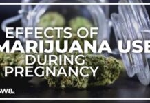 Cannabis use during pregnancy could impact baby's brain development, study shows