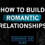 How to Build Romantic Relationships | Dr. Paul Eastwick & Dr. Andrew Huberman