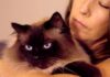 The Health Benefits Of Keeping Pets 🐾 Why Your Mental Health May Be Better With Pets