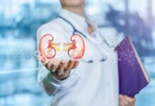 Sneaky Foods That Strain Your Kidneys Quietly Doctor holding digital illustration of human kidneys