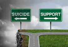 Road splitting at a cliff with signs pointing to suicide and support