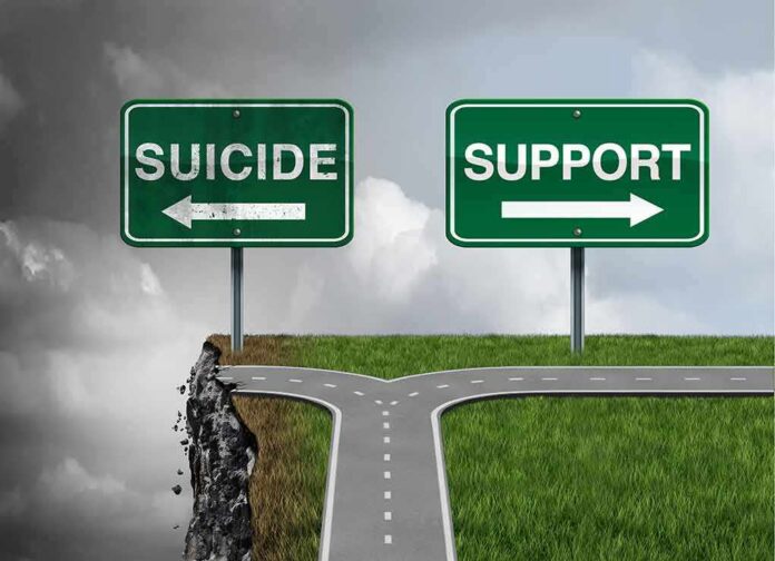 Road splitting at a cliff with signs pointing to suicide and support