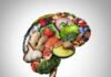 Midlife Habits That Quietly Rewire Your Brain Brain shape made of assorted healthy foods on white background